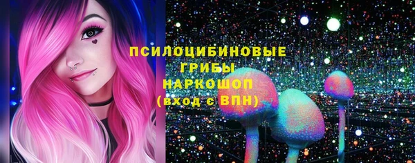 крисы Лабытнанги