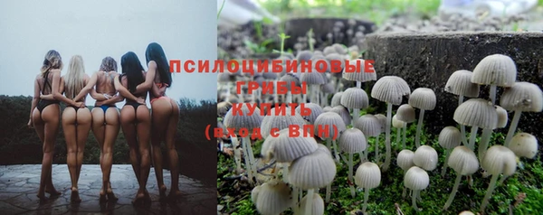 прущий лед Кулебаки