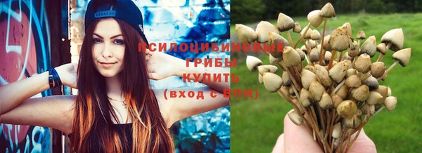 стаф Кукмор