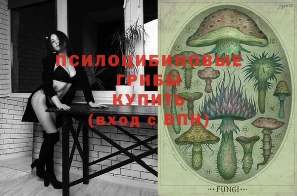 стаф Кукмор