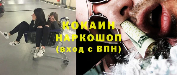 стаф Кукмор