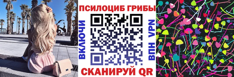 Галлюциногенные грибы Psilocybine cubensis  Орёл 